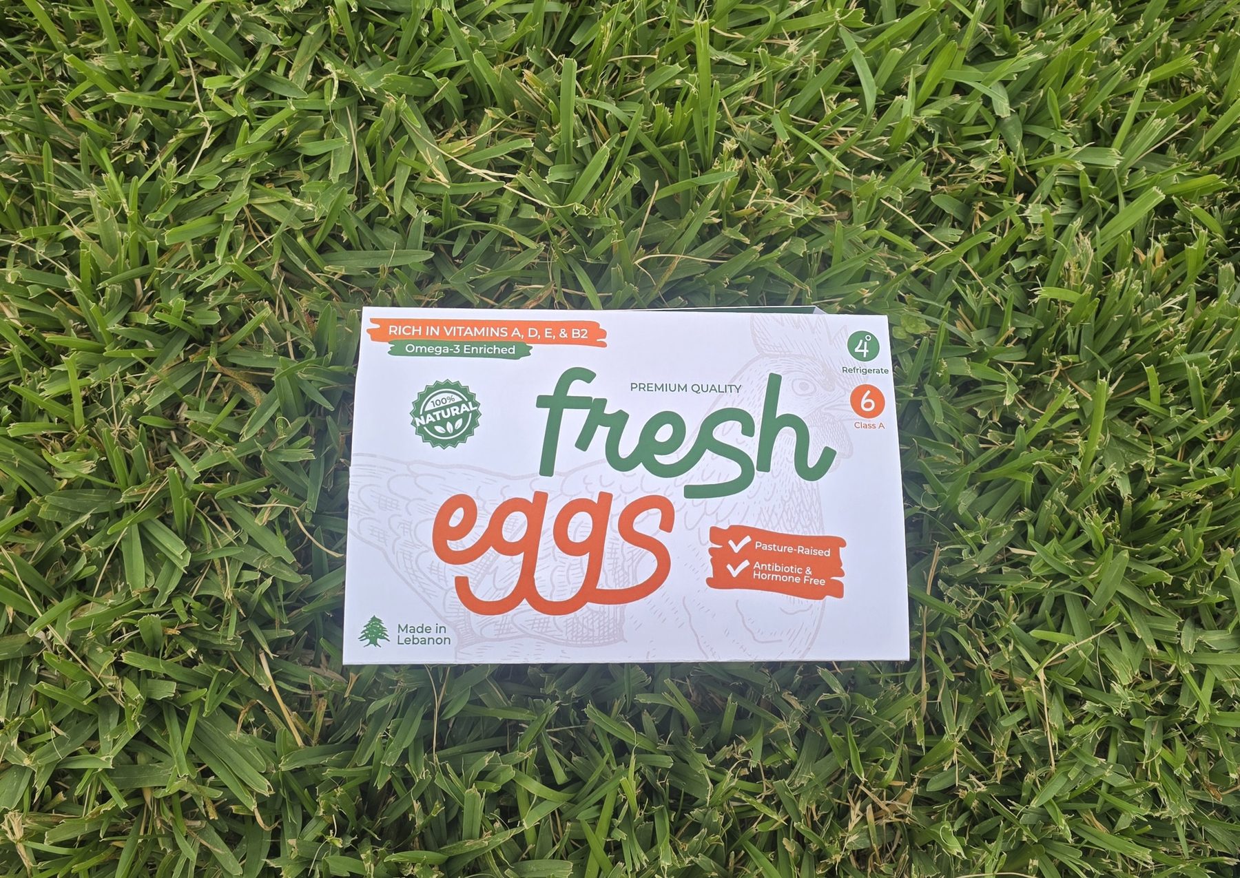 Egg Packaging — packaging project cover by Miled Sebaaly, Miled Studio