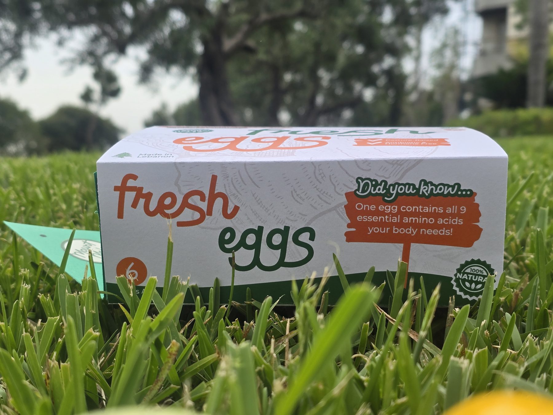 Egg Packaging — packaging work by Miled Sebaaly, Miled Studio (3 of 11)