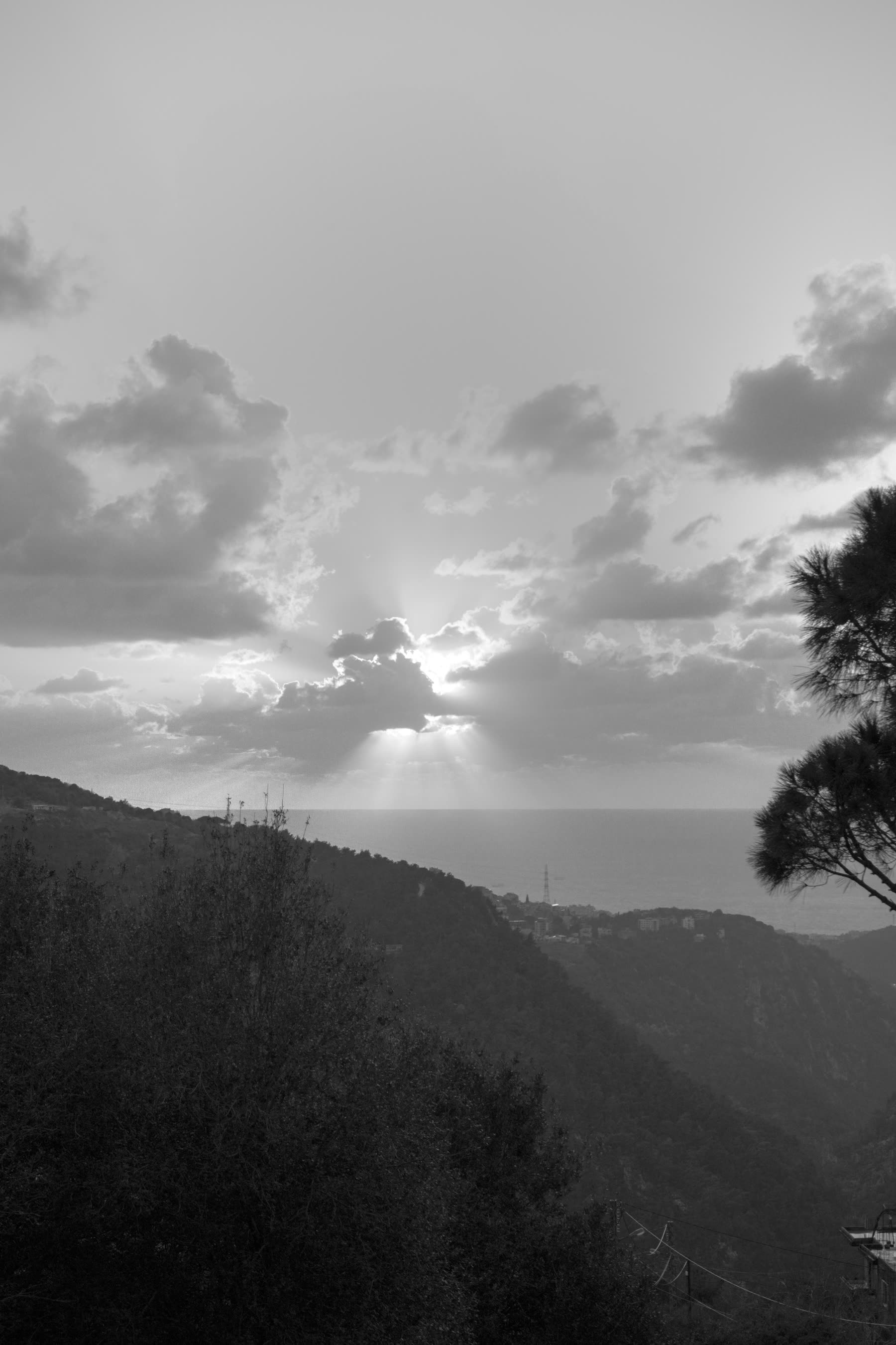 Photography — photography work by Miled Sebaaly, Miled Studio (6 of 13)