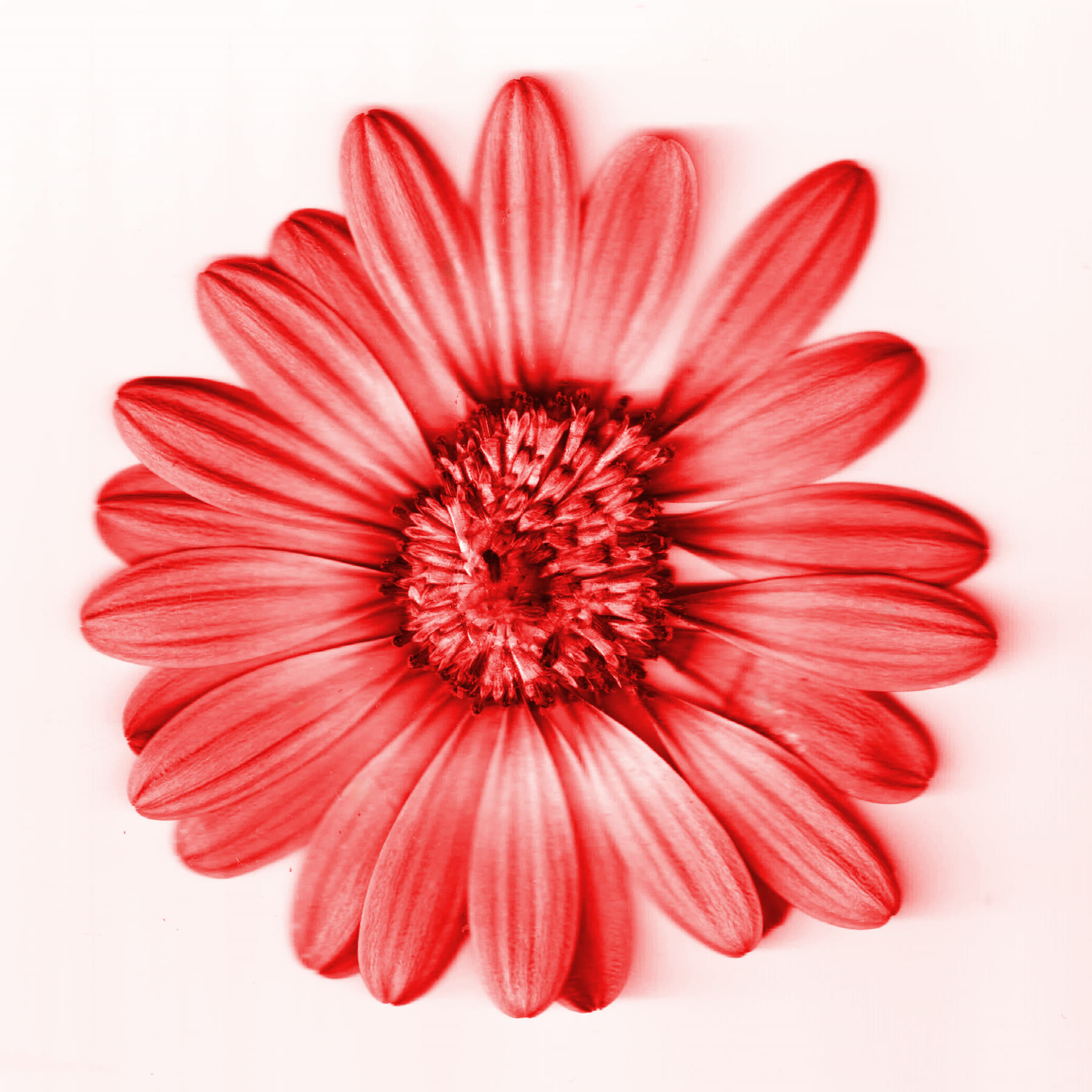 Photography — photography work by Miled Sebaaly, Miled Studio (9 of 13)