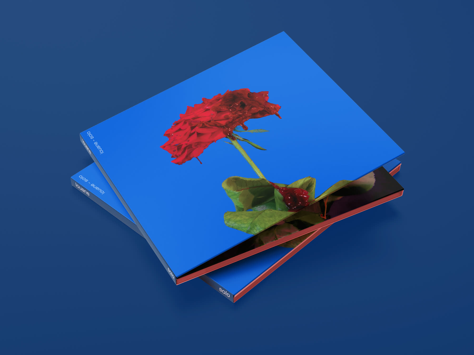 Vinyl & CD Design — photography and packaging work by Miled Sebaaly, Miled Studio (2 of 8)